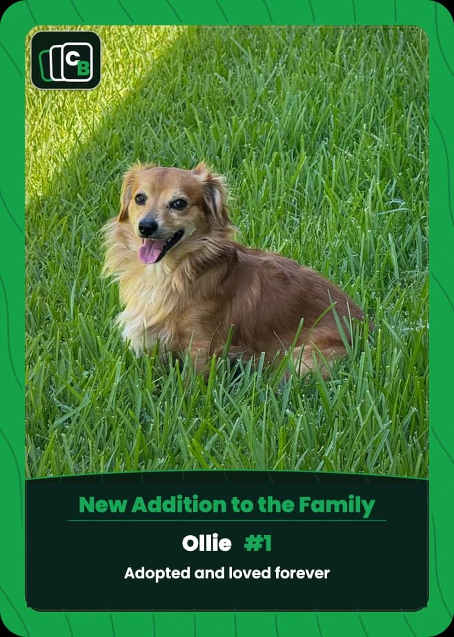 Real pet adoption trading card featuring a small dog